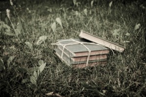 books-in-the-grass-1409233244tHw